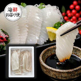 ＼＼楽天スーパーSALE ★赤字覚悟の大特価☆ スーパーセール／／【丸尚】冷凍＊送料無料★いか刺し　たっぷり2kg　ムラサキイカ柵　いかの刺身　フィーレ　刺身以外にも煮る・焼くでアレンジ可能！幅広い料理に最適！