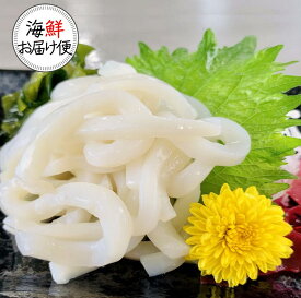 ＼＼楽天スーパーSALE ★赤字覚悟の大特価☆ スーパーセール／／【丸尚】冷凍＊送料無料★いかそうめん 1kg　イカソーメン　スルメイカ　無添加・無漂白！　いかそーめんお得パック　するめいか　いかのお刺身　イカ刺し