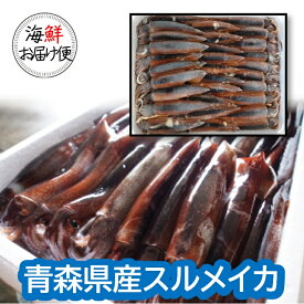 ＼＼楽天スーパーSALE ★赤字覚悟の大特価☆ スーパーセール／／【丸尚】冷凍＊送料無料★青森県産のするめいか まるごと急速凍結　8キロ　スルメイカ