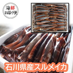 yۏzⓀΐ쌧Ŷ߂ ܂邲Ƌ}@30@XCJ@30t@@؁EE֓EFȂ