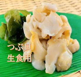 【丸尚】冷凍＊送料無料★ロシア産つぶ貝500g