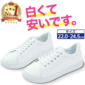 _r[v[gLILO1ʁ^Xj[J[ fB[X WjA  Xj[J[ ʊw R[gV[Y C ʊwC zCg y RP11