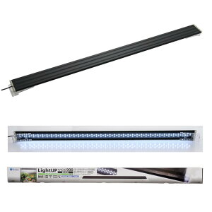  CgAbv WIDE 900 ubN 90-100cmp