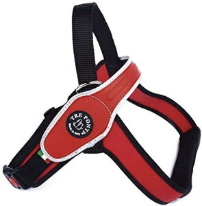 Tre Ponti g|eB[ Primo v p n[lX ^ C^A (LTCY, bh)