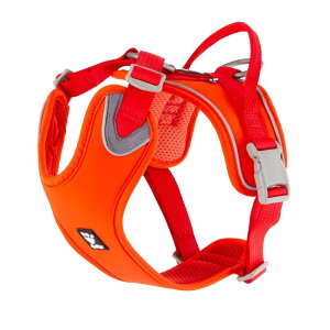 tb^ (Hurtta)EH[An[lX GREbh 40-45cm