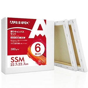 張りキャンバス セット SSM (22.7cmX22.7cm)) 中目 100%コットン 6枚 初心者 絵画用具 芸術絵創作 現代油絵 美術装飾 水彩画・油絵画・アクリル兼用