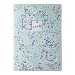 _CS[ ƌv 3N Ap tȂ t[^Cv B5 u[ J2132