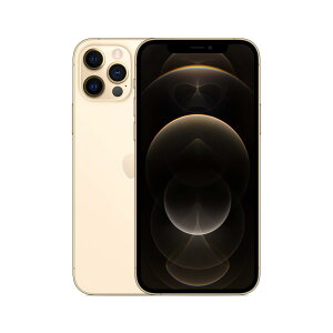 yςݕiz Apple iPhone 12 Pro 256GB S[h SIMt[ (ςݕi)