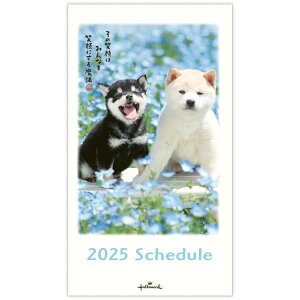 {z[}[N 蒠 2025N X }X[ ق߂ 835-033 (2024N 10n܂)