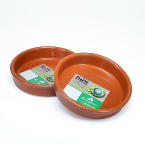 XyC eRb^ 퐻 JXG y 14cm 1lp vp I[u Ή Aq[W Graupera (2Zbg)