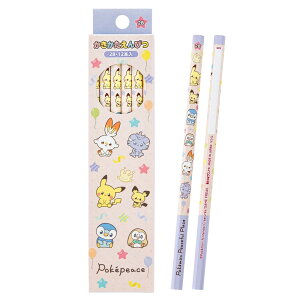 VEm[g |PbgX^[ M ҂ 2B 1_[X 12{ |Ps[X 452404002