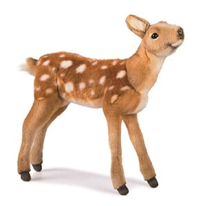 nT(HANSA)  ʂ or No.5017