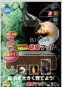 }J oCI琬c}bg 10L M-705