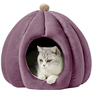 Bidason L xbh ybg nEX h[^ ӂӂ  J{` _炩 NbVt \tg ~ 􂦂 Q g h Lbg ^  ybgpi ~