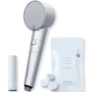 SALONIA TjA V[wbh t@CouNA }CNimou ߐ  fJ[gbW + dY_^ubgt SAL23303SS Vo[