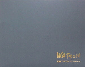 ~[Y ʎ g\ubN F10 300g i` 15 NW-1410 F10