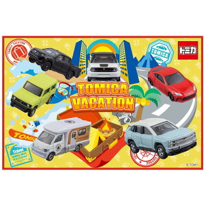 XP[^[(Skater) qp W[V[g  STCY 60×90cmTCY g~J 24 VS1-A