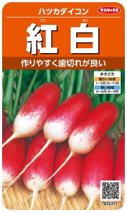 TJ^̃^l 5371 g ncJ_CR 00925371