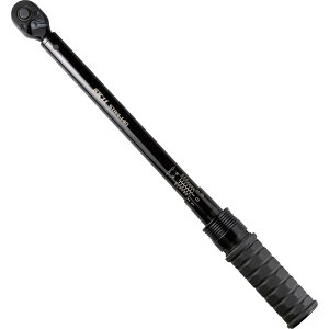 SK11(�G�X�P�[11) �v���Z�b�g�^�g���N�����` �����p12.7mm 20~140N�Em STR4-140