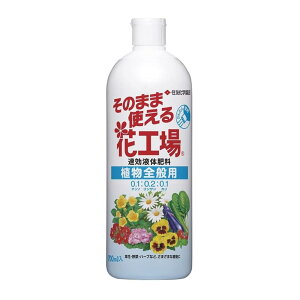 ZFw| 엿 ̂܂܎gԍH ASʗp 700ml t̔엿
