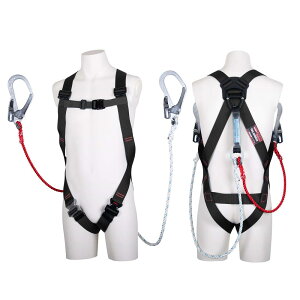 dH(Fujii Denko) VKi tn[lX^ Cgn[lX [v ubN LTCY V^ڃxg cC[h 2|[h EeՂȃ^b`obN {  