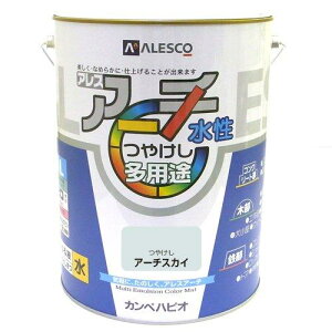 カンペハピオ ペンキ 塗料 水性 つやけし アーチスカイ 4L 水性塗料 日本製 アレスアーチ 00227652741040