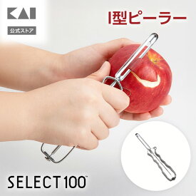 貝印 SELECT100 ステンレス I型 ピーラー | 縦型 ステンレスピーラー オールステンレス おしゃれ シンプル 皮むき器 野菜 面取り キッチンツール SELECT 100 セレクト100 DH3001 【メール便】[M便 1/1] 一人暮らし