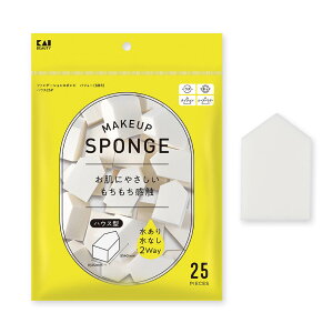 t@f[VX|W o[ SBR nEX 25P L KAI t@f[Vpt CNX|W o[ e pE_[ S  KQ3300