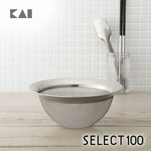 yő15OFFN[|{|CgF}\z SELECT100  17cm DF5006 Mtg 蕨 v[g V l炵