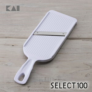 XCT[  XCX I^s[[ 27.8cm/9.2cm/1.9cm/101g ( IV  H@ ȒP ؂ꖡQ Z ) L SELECT100 ZNg100 Mtg 蕨 v[g V l炵 낵 ؂ 
