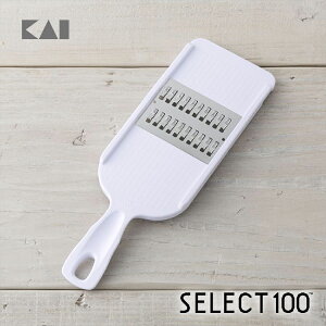y|Cg20{F9/25z SELECT100 ؂(3×3mm) DH3100 L XCT[ ؂ ؂ ZNg 100 Mtg 蕨 v[g V l炵