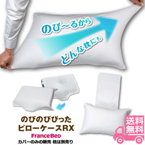 tXxbh ̂т̂т҂sP[X RXpyzdNCjOxbhɍœK ꗎȂJo[Lk 閍ɂ҂tBbg