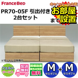 フランスベッド 2台セット」の人気商品一覧 | 安い商品を通販サイト 