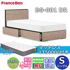 �t�����X�x�b�h �x�b�h�t���[���}�b�g���X�Z�b�gBG-001 �����o���t�� �V���O�� LT5000 �~�f�B�A���\�t�g�t���y�J���g���ݒu�����zDR�^�C�v ���o���[�t��