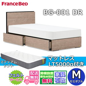 �t�����X�x�b�h �x�b�h�t���[���}�b�g���X�Z�b�gBG-001 �����o���t�� �Z�~�_�u�� LT5000 �~�f�B�A���\�t�g�t���y�J���g���ݒu�����zDR�^�C�v ���o���[�t��