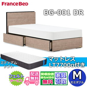 �t�����X�x�b�h �x�b�h�t���[���}�b�g���X�Z�b�gBG-001 �����o���t�� �Z�~�_�u�� LT7700 �~�f�B�A���\�t�g�t���y�J���g���ݒu�����zDR�^�C�v ���o���[�t��