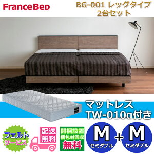 �t�����X�x�b�h �x�b�h�t���[��BG-001 ���b�O�^�C�v�}�b�g���XTW-010���t�� 2��Z�b�g�y�J���g�ݗ��Đݒu�����z�r�t���x�b�h�t���[���Z�~�_�u��+�Z�~�_�u���@M+M