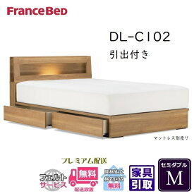 フランスベッド ベッドフレーム DL-C102 DR【送料・開梱設置無料】セミダブル 引出付き M