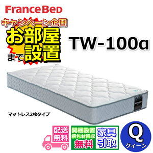 tXxbh }bgX TW-100Jy܂ŖŊJݒuzNC[TCYZT020 ZT030pfdQSn TW100 Q lC cCT|[g}bgX2^Cv tX