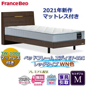 フランスベッド お得なベッドセット エディ セミダブル【送料・開梱組立設置無料】TW-100α付き人気マットレスとフレームEY-02Cのセット販売商品