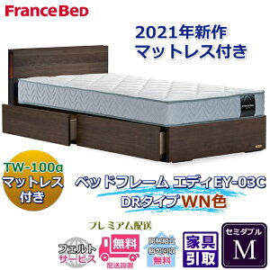 フランスベッド お得なベッドセット エディ セミダブル【送料・開梱組立設置無料】TW-100α付き人気マットレスとフレームEY-03Cのセット販売商品