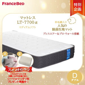 �v���[���g�t���I�y�����ݒu�����Ή����i�z�t�����X�x�b�h LT-7700�}�b�g���X LT7700�� �~�f�B�A���\�t�g �_�u�� D