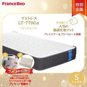 �v���[���g�t���I�y�����ݒu�����Ή����i�z�t�����X�x�b�h LT-7700�}�b�g���X LT7700�� �~�f�B�A���\�t�g �V���O�� S