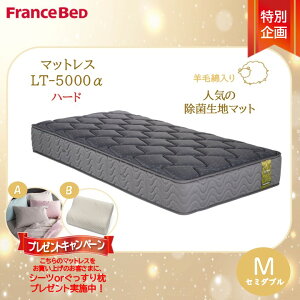 �v���[���g�t���y�����J���ݒu�����z�t�����X�x�b�h LT-5000�}�b�g���X LT5000�� �n�[�h �Z�~�_�u�� M