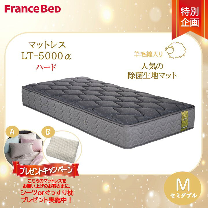 楽天市場】プレゼント付き【搬入開梱設置無料】フランスベッド LT-5000 