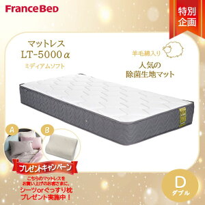 �v���[���g�t���y�����J���ݒu�����z�t�����X�x�b�h LT-5000�}�b�g���X LT5000�� �~�f�B�A���\�t�g �_�u�� D