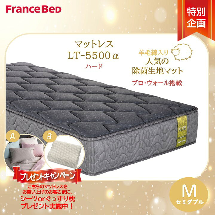 楽天市場】プレゼント付き【搬入設置無料対応商品】フランスベッド LT 