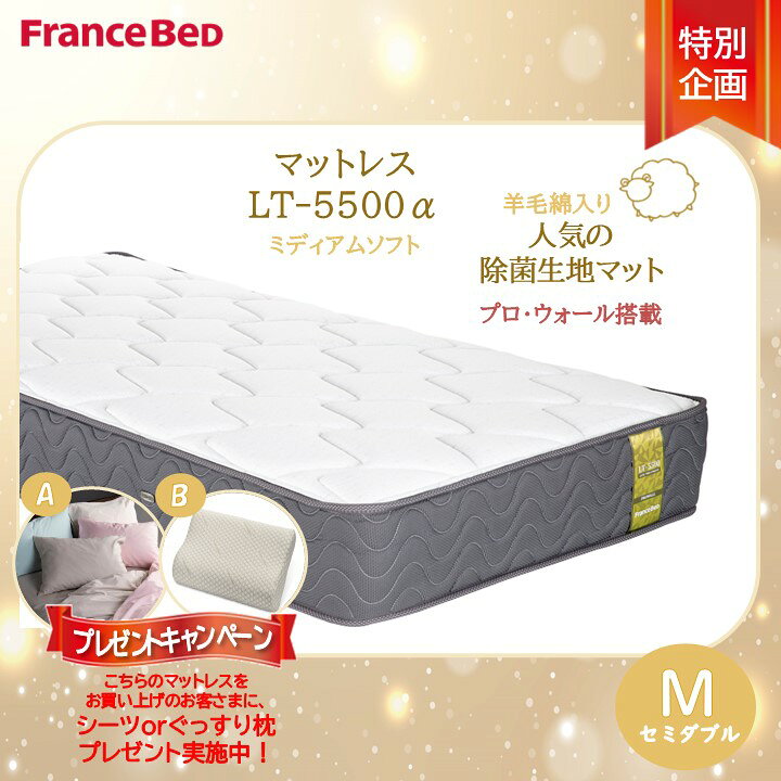 楽天市場】プレゼント付き【搬入開梱設置無料】フランスベッド LT-5500 