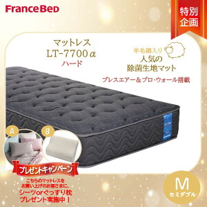 �v���[���g�t���I�y�����ݒu�����Ή����i�z�t�����X�x�b�h LT-7700�}�b�g���X LT7700�� �n�[�h �Z�~�_�u�� M