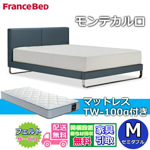 y݌ɌztXxbh IQxbh eJ Z~_uyEJgݒuzTW-100 }bgXt_xbht[ U[XG[hxbhiqxbh rtxbh z